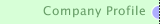 Company Profile